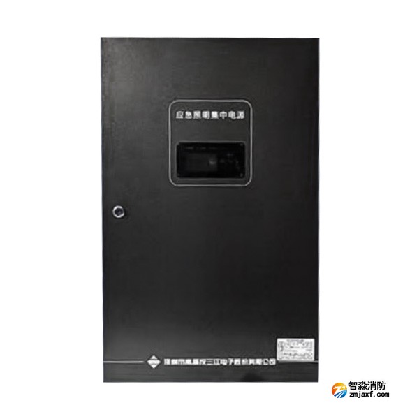 海湾SJ-D-0.6KVA/P601AC应急照明集中电源 4回路 壁挂式